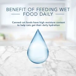 Blue Buffalo Tastefuls Natural Kitten Pate Chicken Entree Wet Cat Food Multi-Pack, 3-oz Can, Case Of 6 13 Blue Buffalo Tastefuls Natural Kitten Pate Chicken Entree Wet Cat Food Multi-Pack, 3-oz Can, Case Of 6 -Blue Buffalo Shop 879486 PT5. AC SS1800 V1694720287