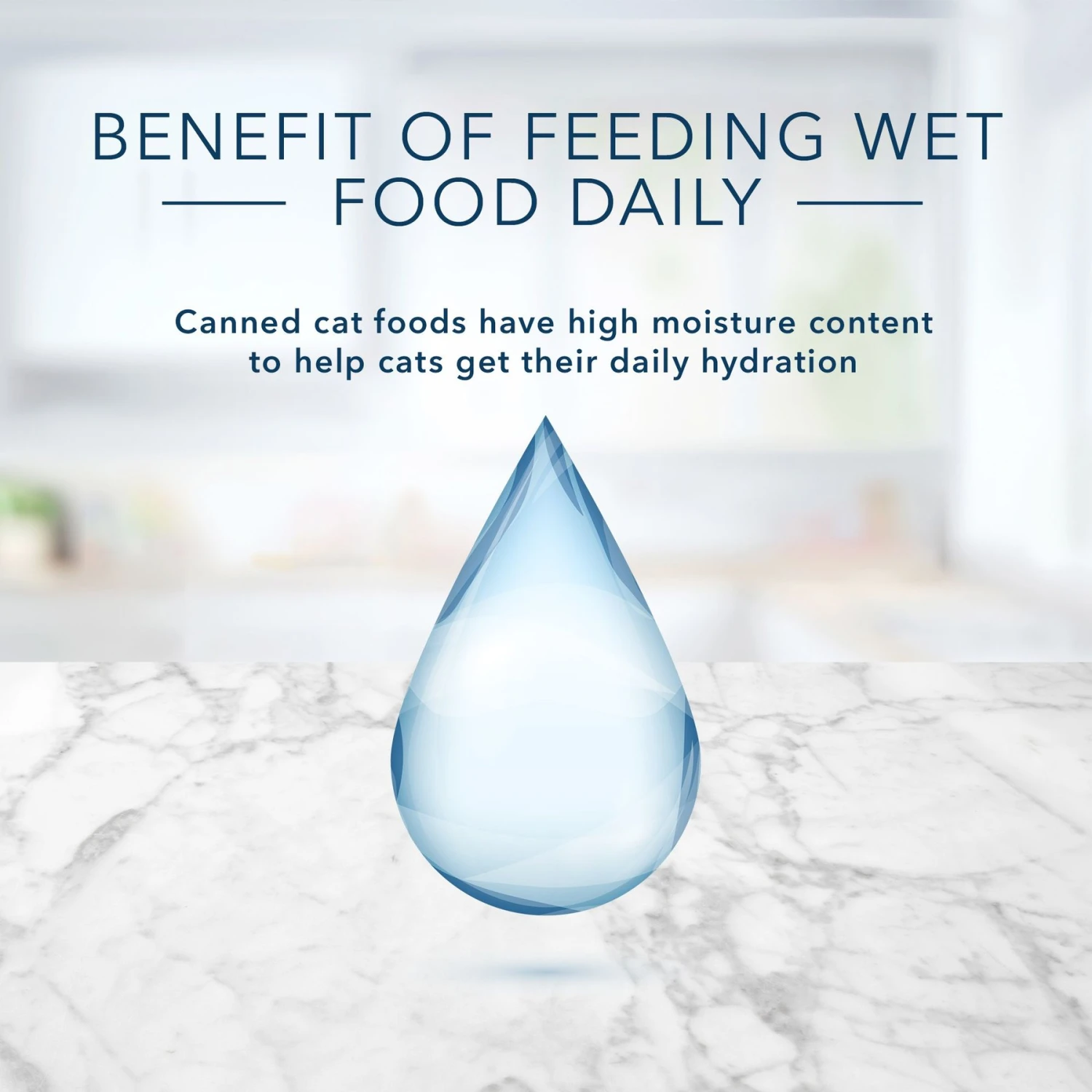 Blue Buffalo Tastefuls Natural Kitten Pate Chicken Entree Wet Cat Food Multi-Pack, 3-oz Can, Case Of 6 7 Blue Buffalo Tastefuls Natural Kitten Pate Chicken Entree Wet Cat Food Multi-Pack, 3-oz Can, Case Of 6 - Image 5