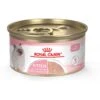 Royal Canin Feline Health Nutrition Kitten Loaf In Sauce Canned Cat Food 2 Royal Canin Feline Health Nutrition Kitten Loaf In Sauce Canned Cat Food -Blue Buffalo Shop 88020 MAIN. AC SS1800 V1697732931