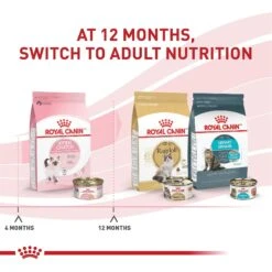 Royal Canin Feline Health Nutrition Kitten Loaf In Sauce Canned Cat Food -Blue Buffalo Shop 88020 PT1. AC SS1800 V1697754447