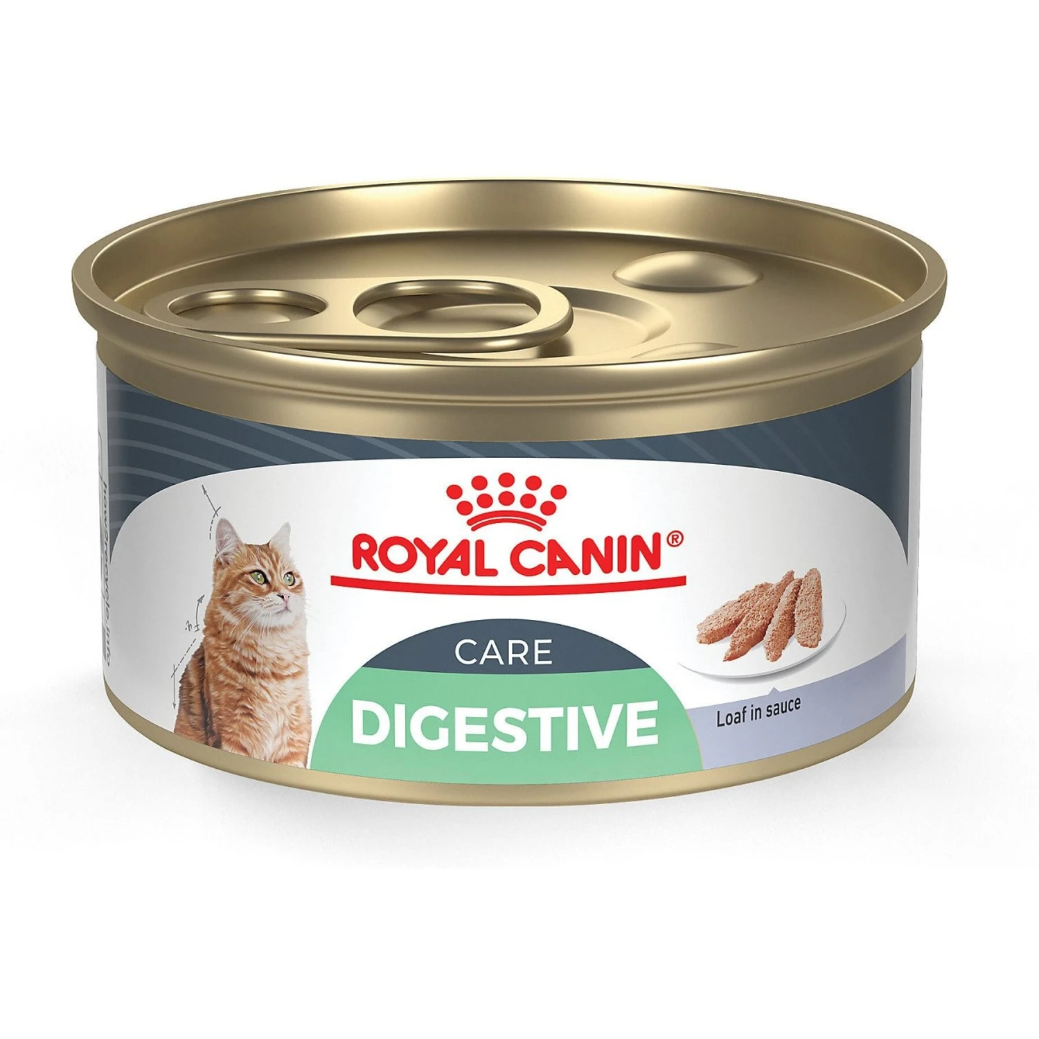 Royal Canin Feline Care Nutrition Digestive Care Loaf In Sauce Canned Cat Food 3 Royal Canin Feline Care Nutrition Digestive Care Loaf In Sauce Canned Cat Food