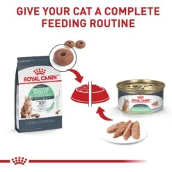 Royal Canin Feline Care Nutrition Digestive Care Loaf In Sauce Canned Cat Food 16 Royal Canin Feline Care Nutrition Digestive Care Loaf In Sauce Canned Cat Food -Blue Buffalo Shop 88026 PT5. AC SS1800 V1697757759