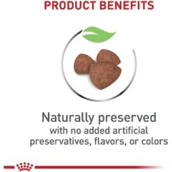 Royal Canin Size Health Nutrition Small Indoor Puppy Dry Dog Food -Blue Buffalo Shop 88062 PT3. AC SS1800 V1697213833