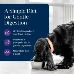 Blue Buffalo Basics Skin & Stomach Care Grain-Free Turkey & Potato Senior Canned Dog Food -Blue Buffalo Shop 88193 PT2. AC SS1800 V1646251343