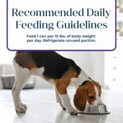 Blue Buffalo Basics Skin & Stomach Care Grain-Free Turkey & Potato Senior Canned Dog Food -Blue Buffalo Shop 88193 PT8. AC SS1800 V1646274999