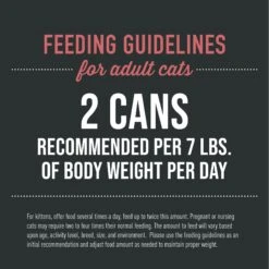 Tiki Cat After Dark Pate+ Chicken & Beef Grain-Free Wet Cat Food -Blue Buffalo Shop 883846 PT5. AC SS1800 V1690492473