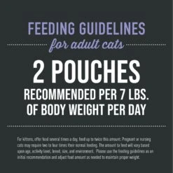 Tiki Cat After Dark Velvet Mousse Chicken & Duck Grain-Free Wet Cat Food, 2.8-oz Pouch, Case Of 12 15 Tiki Cat After Dark Velvet Mousse Chicken & Duck Grain-Free Wet Cat Food, 2.8-oz Pouch, Case Of 12 -Blue Buffalo Shop 883958 PT5. AC SS1800 V1688157236