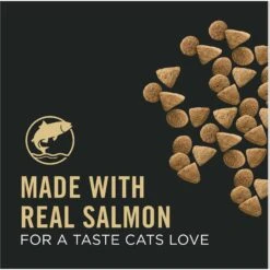 Purina Pro Plan Vital Systems Salmon & Egg Formula 4-in-1 Dry Cat Food 13 Purina Pro Plan Vital Systems Salmon & Egg Formula 4-in-1 Dry Cat Food -Blue Buffalo Shop 886014 PT2. AC SS1800 V1688580556