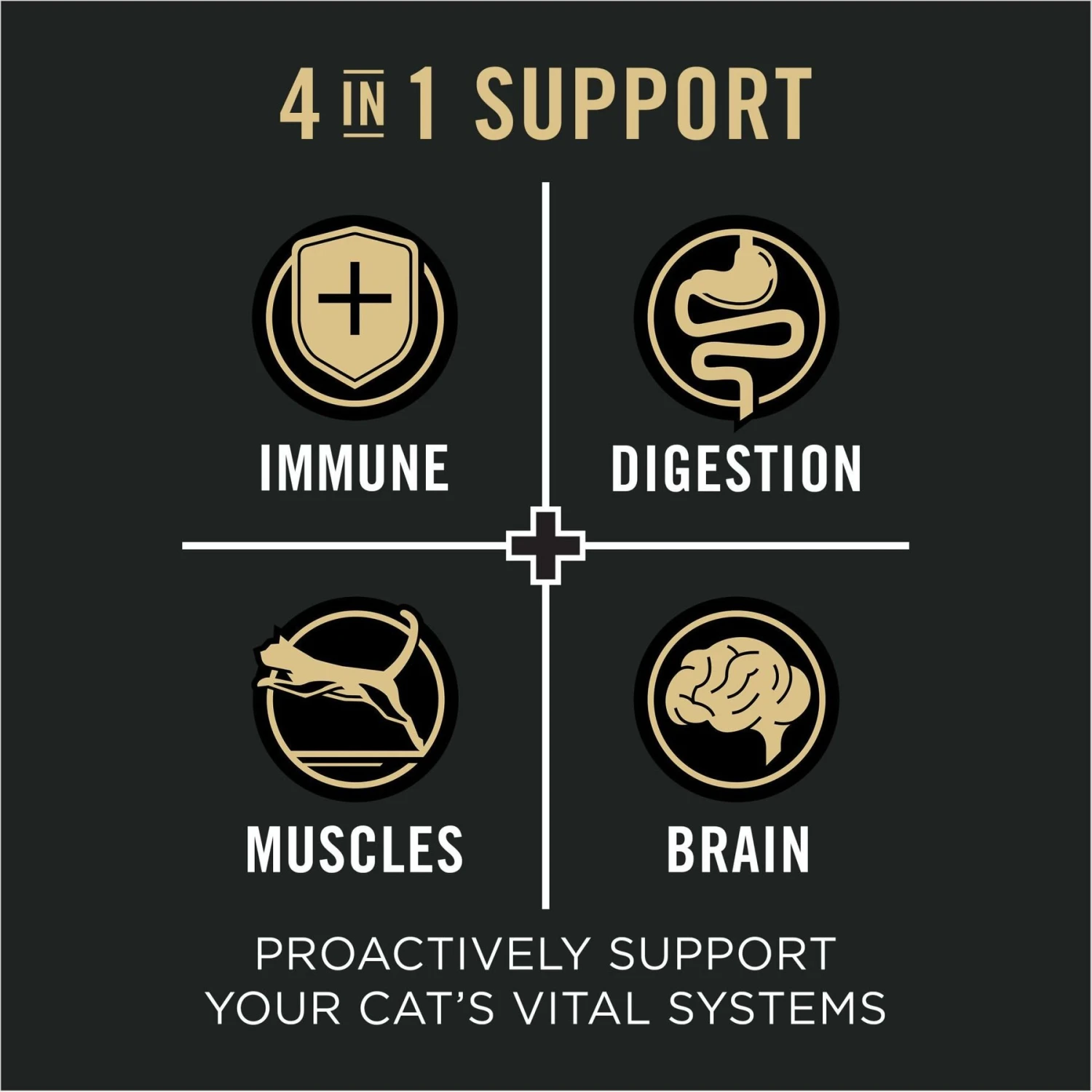 Purina Pro Plan Vital Systems Salmon & Egg Formula 4-in-1 Dry Cat Food 6 Purina Pro Plan Vital Systems Salmon & Egg Formula 4-in-1 Dry Cat Food - Image 4