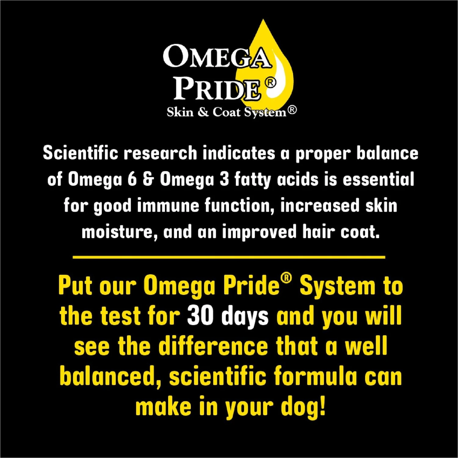 Sportsman's Pride Classic Adult Maintenance Natural Dry Dog Food, 40-lb Bag 6 Sportsman's Pride Classic Adult Maintenance Natural Dry Dog Food, 40-lb Bag - Image 4