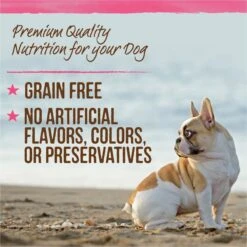Merrick Lil' Plates Petite Pates Grain-Free Small Breed Wet Dog Food, Variety Pack, 3-oz Can, Case Of 12 -Blue Buffalo Shop 891678 PT6. AC SS1800 V1688580435