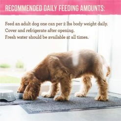 Merrick Lil' Plates Petite Pates Grain-Free Small Breed Wet Dog Food, Variety Pack, 3-oz Can, Case Of 12 -Blue Buffalo Shop 891678 PT8. AC SS1800 V1688580550