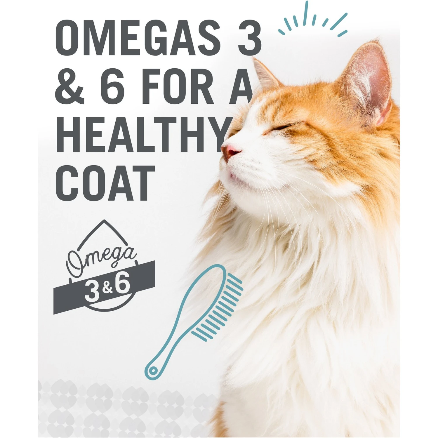 I And Love And You Purrky Turkey Pate Grain-Free Canned Cat Food 10 I And Love And You Purrky Turkey Pate Grain-Free Canned Cat Food - Image 8