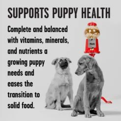 BIXBI Rawbble Grain-Free Canned Turkey Recipe Wet Dog Food For Puppies, 12.5-oz Can, Case Of 12 -Blue Buffalo Shop 895262 PT2. AC SS1800 V1689017844