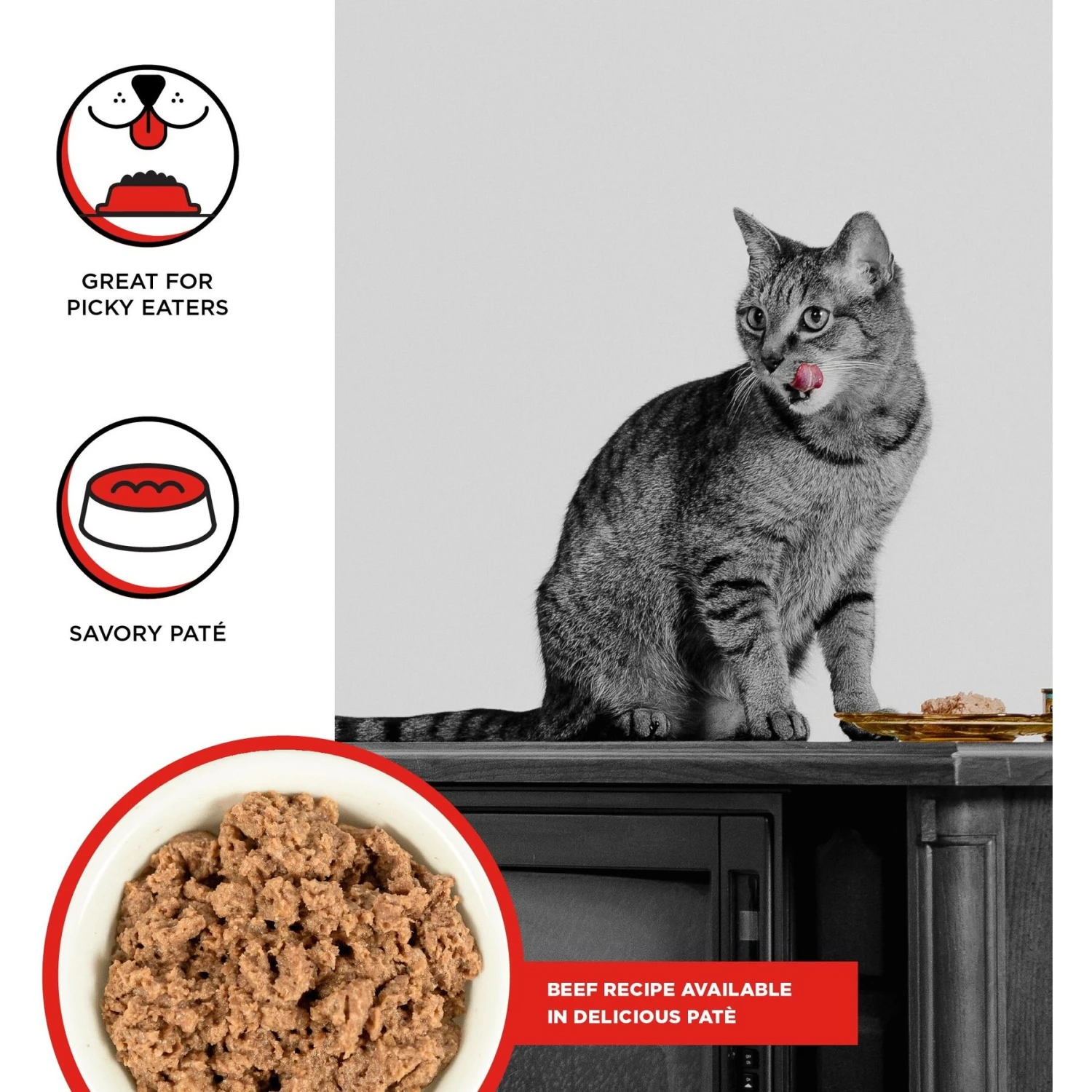 BIXBI Rawbble Beef Pate Wet Food For Cats, 2.75-oz Can, Case Of 24 4 BIXBI Rawbble Beef Pate Wet Food For Cats, 2.75-oz Can, Case Of 24 - Image 2