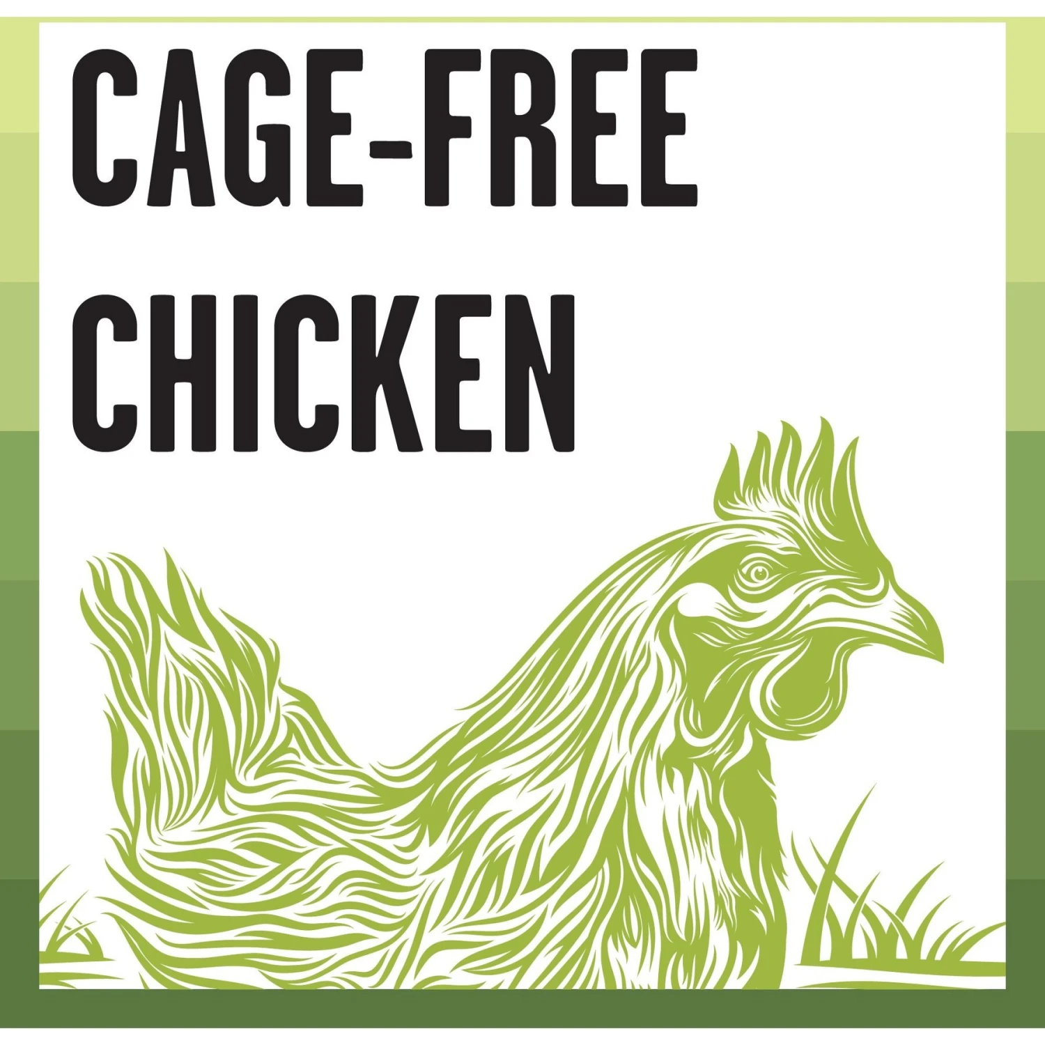 BIXBI Rawbble Chicken Pate Wet Food For Kittens, 2.75-oz Can, Case Of 24 6 BIXBI Rawbble Chicken Pate Wet Food For Kittens, 2.75-oz Can, Case Of 24 - Image 4