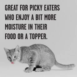 BIXBI Rawbble Chicken Pate Wet Food For Kittens, 2.75-oz Can, Case Of 24 12 BIXBI Rawbble Chicken Pate Wet Food For Kittens, 2.75-oz Can, Case Of 24 -Blue Buffalo Shop 895326 PT4. AC SS1800 V1689010876