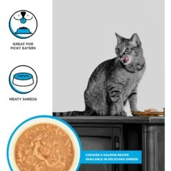 BIXBI Rawbble Chicken & Salmon Shreds In Broth Wet Food For Cats, 2.75-oz Can, Case Of 24 8 BIXBI Rawbble Chicken & Salmon Shreds In Broth Wet Food For Cats, 2.75-oz Can, Case Of 24 -Blue Buffalo Shop 895342 PT1. AC SS1800 V1689015468