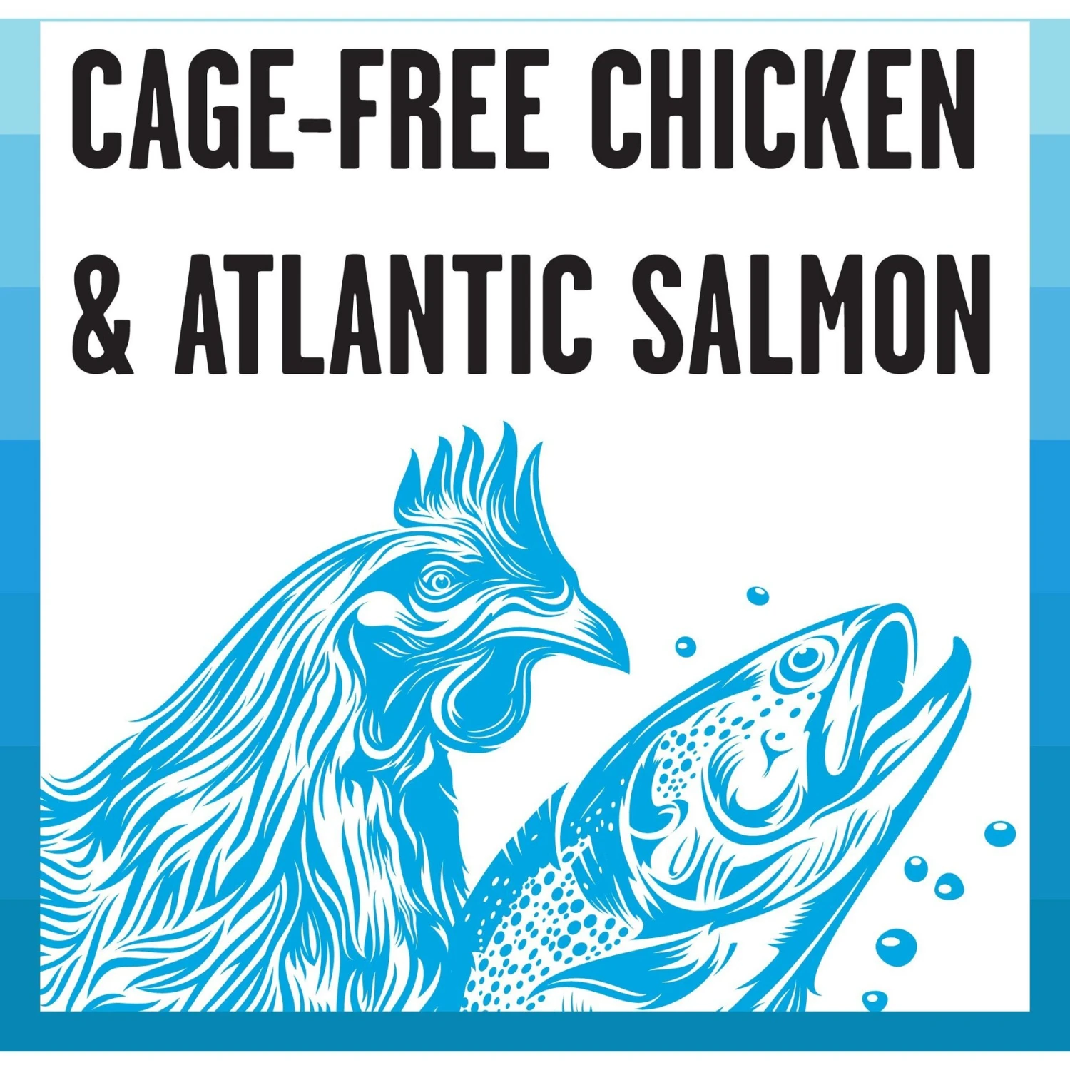 BIXBI Rawbble Chicken & Salmon Shreds In Broth Wet Food For Cats, 2.75-oz Can, Case Of 24 5 BIXBI Rawbble Chicken & Salmon Shreds In Broth Wet Food For Cats, 2.75-oz Can, Case Of 24 - Image 3