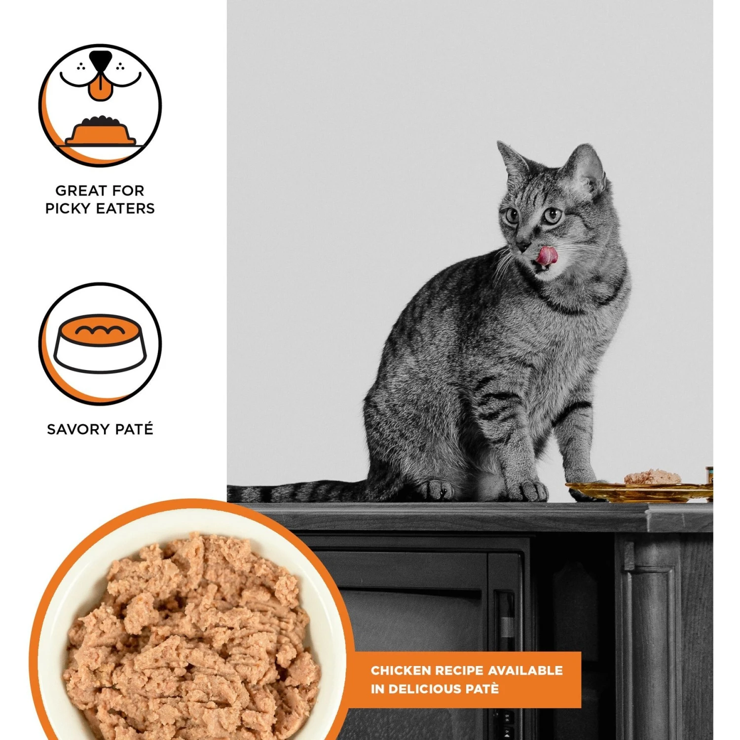 BIXBI Rawbble Chicken Pate Wet Food For Cats, 5-oz Can, Case Of 24 4 BIXBI Rawbble Chicken Pate Wet Food For Cats, 5-oz Can, Case Of 24 - Image 2