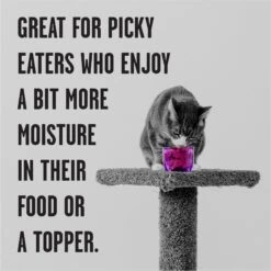 BIXBI Rawbble Tuna Pate Wet Food For Cats, 5-oz Can, Case Of 24 10 BIXBI Rawbble Tuna Pate Wet Food For Cats, 5-oz Can, Case Of 24 -Blue Buffalo Shop 895438 PT3. AC SS1800 V1689017846