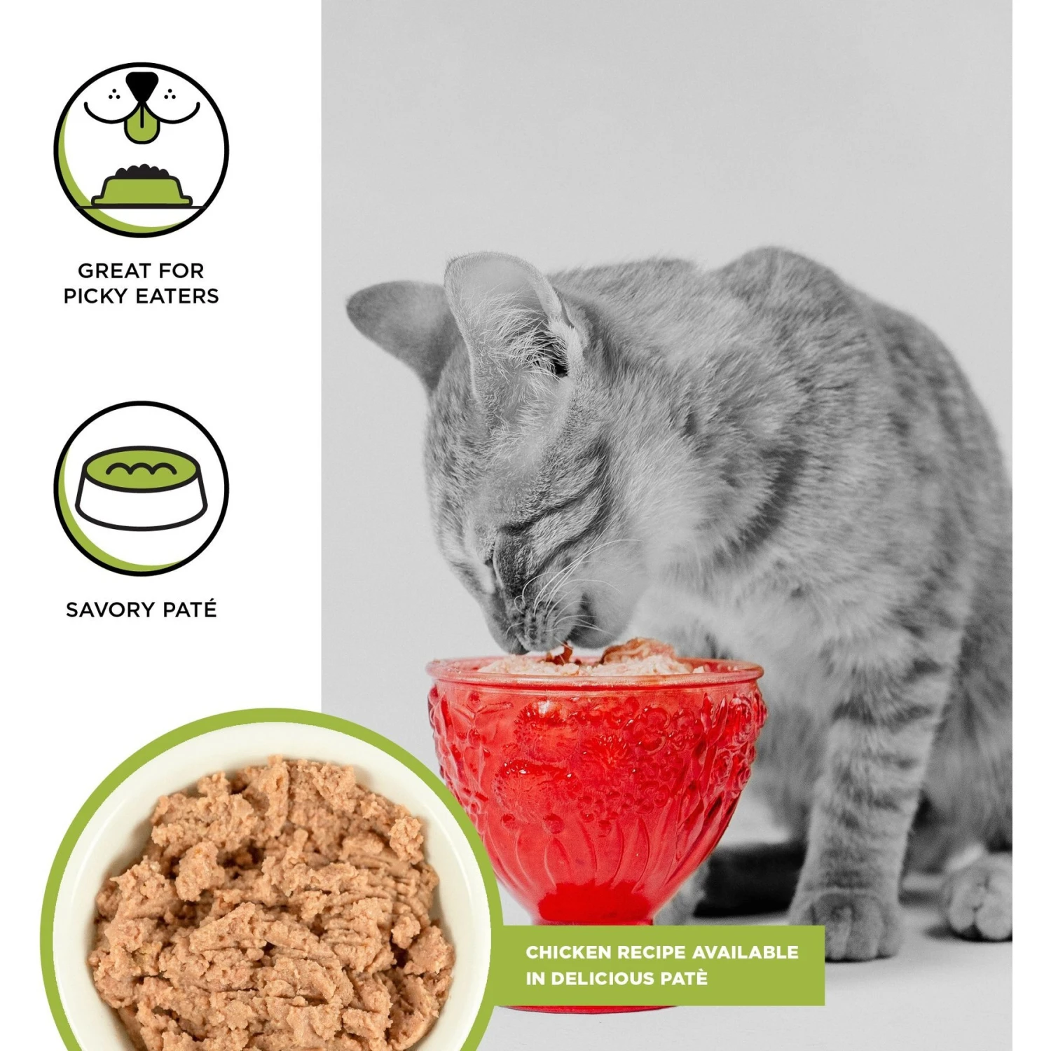 BIXBI Rawbble Chicken Pate Wet Food For Kittens, 5-oz Can, Case Of 24 4 BIXBI Rawbble Chicken Pate Wet Food For Kittens, 5-oz Can, Case Of 24 - Image 2