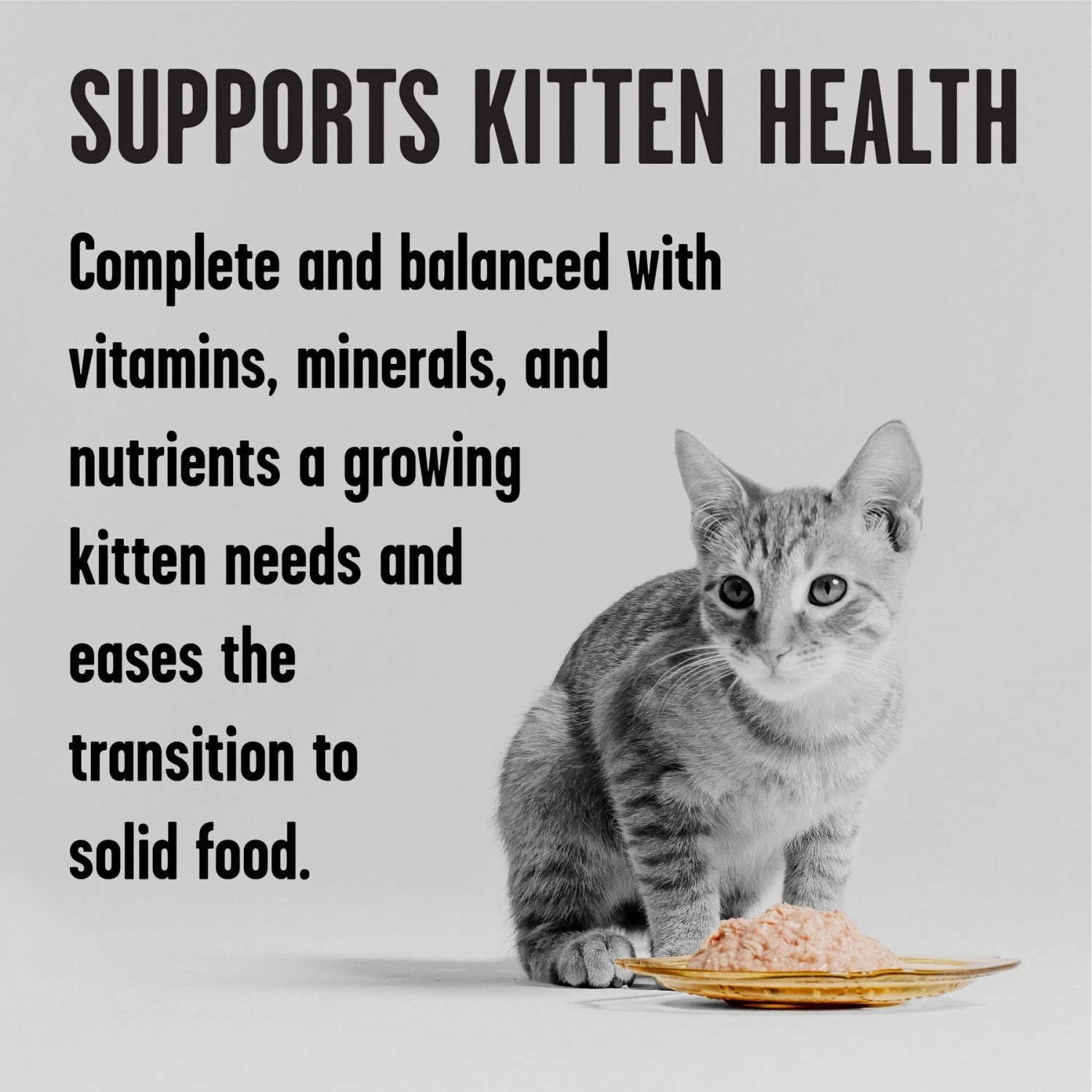 BIXBI Rawbble Chicken Pate Wet Food For Kittens, 5-oz Can, Case Of 24 5 BIXBI Rawbble Chicken Pate Wet Food For Kittens, 5-oz Can, Case Of 24 - Image 3