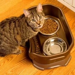 Neater Pets Neater Feeder Deluxe Elevated & Mess-Proof Cat Bowls, Bronze 12 Neater Pets Neater Feeder Deluxe Elevated & Mess-Proof Cat Bowls, Bronze -Blue Buffalo Shop 89632 PT3. AC SS1800 V1672862674