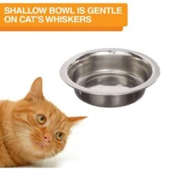 Neater Pets Neater Feeder Deluxe Elevated & Mess-Proof Cat Bowls, Bronze 15 Neater Pets Neater Feeder Deluxe Elevated & Mess-Proof Cat Bowls, Bronze -Blue Buffalo Shop 89632 PT8. AC SS1800 V1631152287