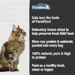 PureBites Chicken Breast & Lamb Freeze-Dried Raw Cat Treats -Blue Buffalo Shop 89719 PT4. AC SS1800 V1677619528