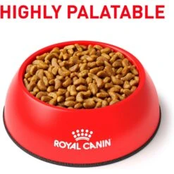 Royal Canin Veterinary Diet Adult Renal Support S Dry Dog Food -Blue Buffalo Shop 90649 PT2. AC SS1800 V1701379828