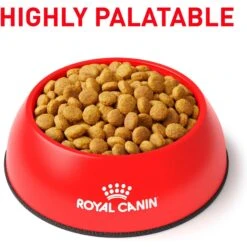 Royal Canin Veterinary Diet Adult Renal Support A Dry Cat Food -Blue Buffalo Shop 90662 PT2. AC SS1800 V1701882387