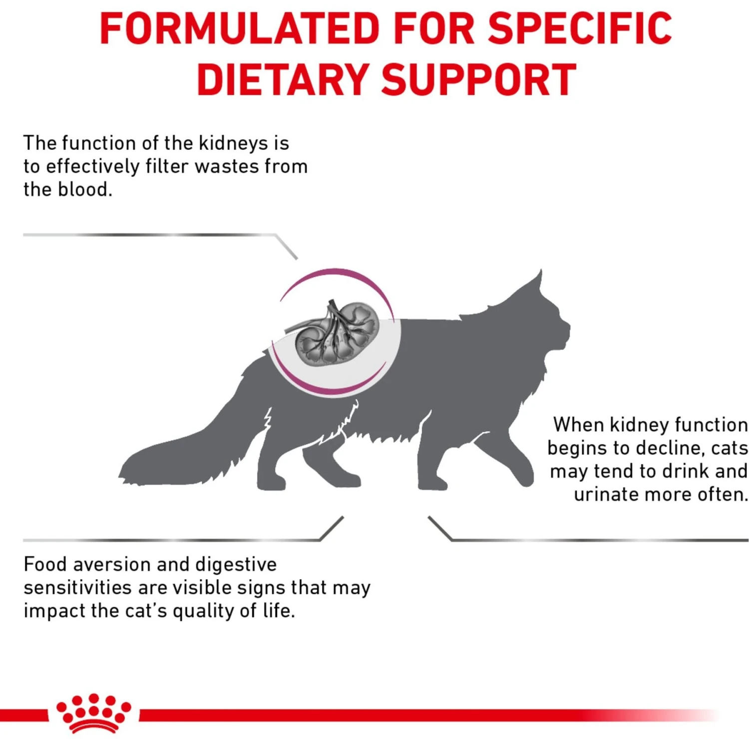 Royal Canin Veterinary Diet Adult Renal Support F Dry Cat Food 6 Royal Canin Veterinary Diet Adult Renal Support F Dry Cat Food - Image 4