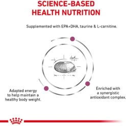 Royal Canin Veterinary Diet Adult Renal Support D Thin Slices In Gravy Canned Dog Food 17 Royal Canin Veterinary Diet Adult Renal Support D Thin Slices In Gravy Canned Dog Food -Blue Buffalo Shop 90673 PT6. AC SS1800 V1701379767