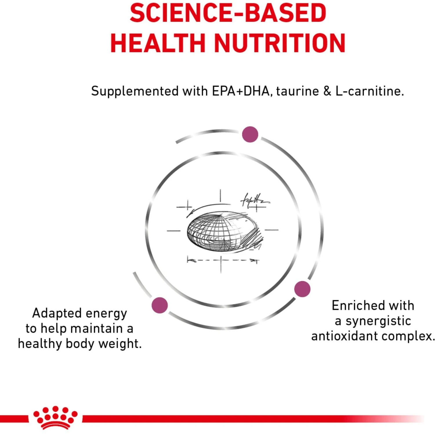Royal Canin Veterinary Diet Adult Renal Support D Thin Slices In Gravy Canned Dog Food 9 Royal Canin Veterinary Diet Adult Renal Support D Thin Slices In Gravy Canned Dog Food - Image 7