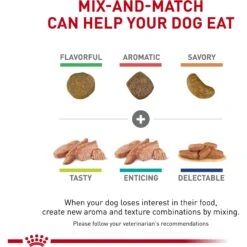 Royal Canin Veterinary Diet Adult Renal Support D Thin Slices In Gravy Canned Dog Food 18 Royal Canin Veterinary Diet Adult Renal Support D Thin Slices In Gravy Canned Dog Food -Blue Buffalo Shop 90673 PT7. AC SS1800 V1701379766