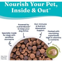 Solid Gold Nutrientboost Buck Wild Sensitive Stomach Grain-Free Wild Venison, Potato & Pumpkin Dry Dog Food 13 Solid Gold Nutrientboost Buck Wild Sensitive Stomach Grain-Free Wild Venison, Potato & Pumpkin Dry Dog Food -Blue Buffalo Shop 910062 PT4. AC SS1800 V1688760636