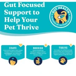 Solid Gold Nutrientboost Buck Wild Sensitive Stomach Grain-Free Wild Venison, Potato & Pumpkin Dry Dog Food 14 Solid Gold Nutrientboost Buck Wild Sensitive Stomach Grain-Free Wild Venison, Potato & Pumpkin Dry Dog Food -Blue Buffalo Shop 910062 PT5. AC SS1800 V1688735937