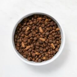 Martha Stewart Pet Food Salmon & Quinoa Recipe With Garden Vegetables Dry Dog Food -Blue Buffalo Shop 910998 PT2. AC SS1800 V1692208012