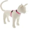 LupinePet Reflective H-style Cat Harness, Small: 12 To 20-in Chest -Blue Buffalo Shop 911142 MAIN. AC SS1800 V1689366313