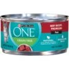 Purina ONE Beef Recipe Pate Grain-Free Natural High Protein Canned Cat Food 1 Purina ONE Beef Recipe Pate Grain-Free Natural High Protein Canned Cat Food -Blue Buffalo Shop 91511 MAIN. AC SS1800 V1653507384