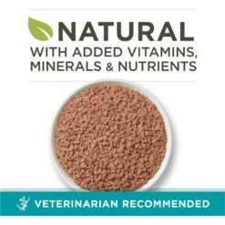 Purina ONE Beef Recipe Pate Grain-Free Natural High Protein Canned Cat Food 12 Purina ONE Beef Recipe Pate Grain-Free Natural High Protein Canned Cat Food -Blue Buffalo Shop 91511 PT1. AC SS1800 V1657661111