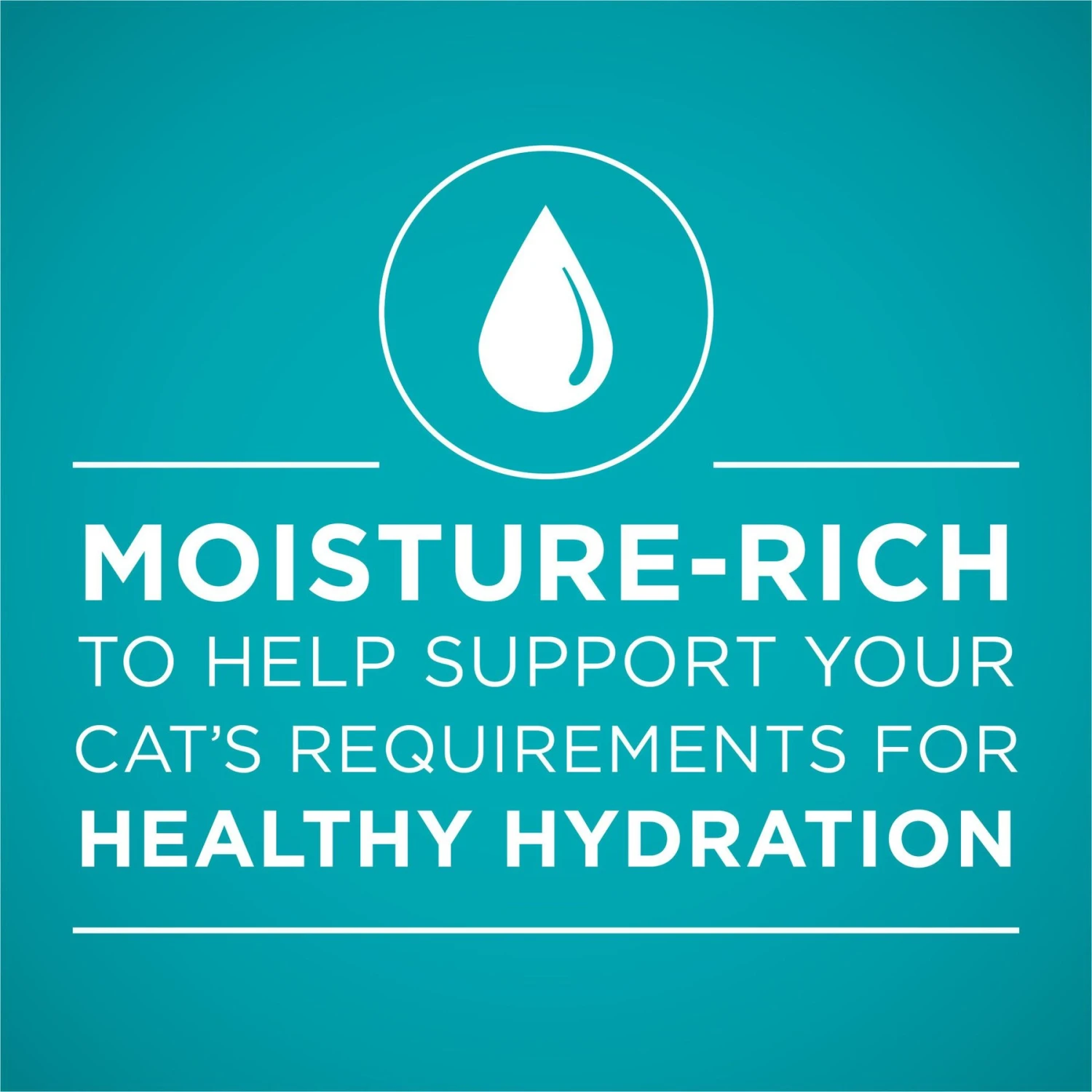 Purina ONE Ocean Whitefish Recipe Pate Grain-Free Natural High Protein Canned Cat Food, 3-oz, Case Of 24 5 Purina ONE Ocean Whitefish Recipe Pate Grain-Free Natural High Protein Canned Cat Food, 3-oz, Case Of 24 - Image 3