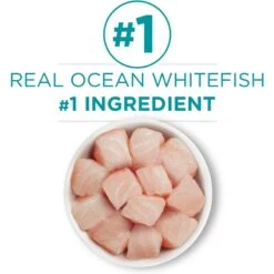 Purina ONE Ocean Whitefish Recipe Pate Grain-Free Natural High Protein Canned Cat Food, 3-oz, Case Of 24 14 Purina ONE Ocean Whitefish Recipe Pate Grain-Free Natural High Protein Canned Cat Food, 3-oz, Case Of 24 -Blue Buffalo Shop 91557 PT3. AC SS1800 V1657661111