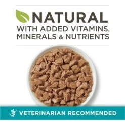 Purina ONE True Instinct Chicken & Turkey Recipe In Gravy Natural High Protein Canned Cat Food, 3-oz, Case Of 24 12 Purina ONE True Instinct Chicken & Turkey Recipe In Gravy Natural High Protein Canned Cat Food, 3-oz, Case Of 24 -Blue Buffalo Shop 91559 PT1. AC SS1800 V1657661111