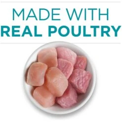 Purina ONE True Instinct Chicken & Turkey Recipe In Gravy Natural High Protein Canned Cat Food, 3-oz, Case Of 24 14 Purina ONE True Instinct Chicken & Turkey Recipe In Gravy Natural High Protein Canned Cat Food, 3-oz, Case Of 24 -Blue Buffalo Shop 91559 PT3. AC SS1800 V1653491482