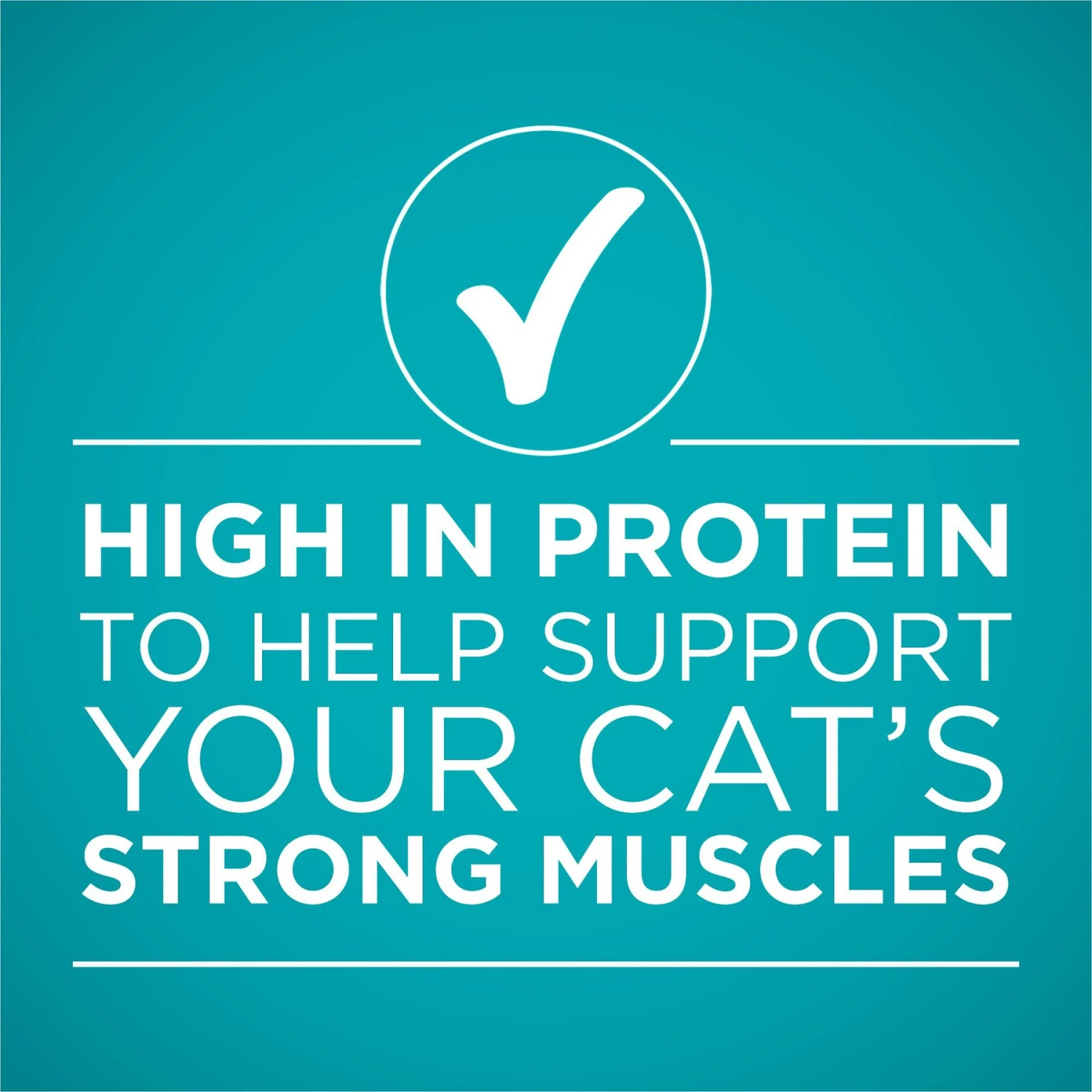 Purina ONE True Instinct Chicken & Turkey Recipe In Gravy Natural High Protein Canned Cat Food, 3-oz, Case Of 24 8 Purina ONE True Instinct Chicken & Turkey Recipe In Gravy Natural High Protein Canned Cat Food, 3-oz, Case Of 24 - Image 6