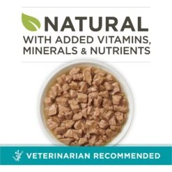 Purina ONE True Instinct Salmon & Trout Recipe In Sauce Natural High Protein Canned Cat Food 12 Purina ONE True Instinct Salmon & Trout Recipe In Sauce Natural High Protein Canned Cat Food -Blue Buffalo Shop 91561 PT1. AC SS1800 V1653493286