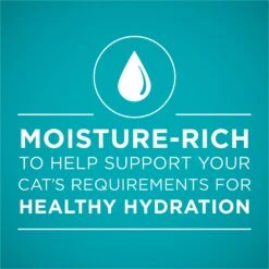 Purina ONE True Instinct Salmon & Trout Recipe In Sauce Natural High Protein Canned Cat Food 13 Purina ONE True Instinct Salmon & Trout Recipe In Sauce Natural High Protein Canned Cat Food -Blue Buffalo Shop 91561 PT2. AC SS1800 V1653499883