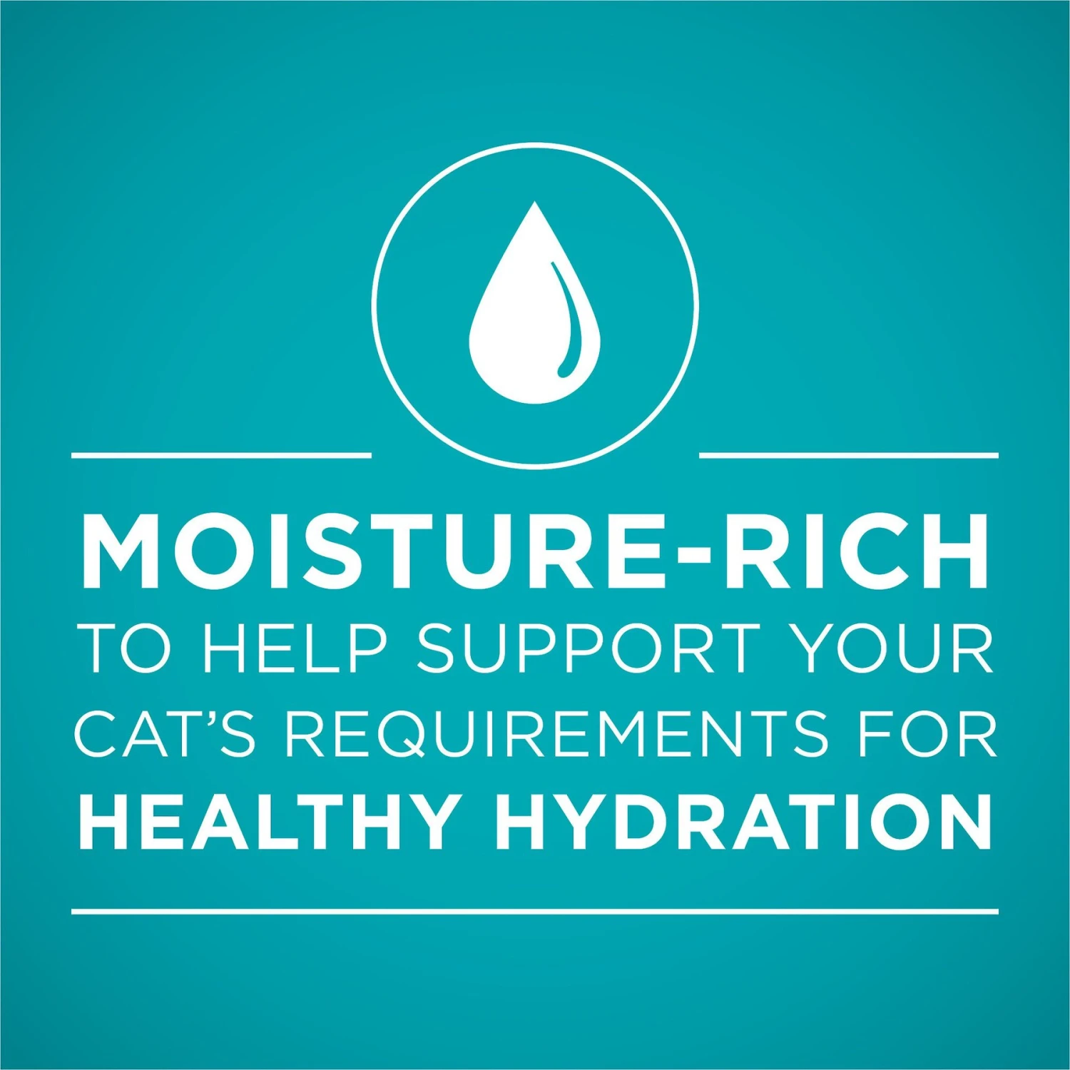 Purina ONE True Instinct Salmon & Trout Recipe In Sauce Natural High Protein Canned Cat Food 5 Purina ONE True Instinct Salmon & Trout Recipe In Sauce Natural High Protein Canned Cat Food - Image 3